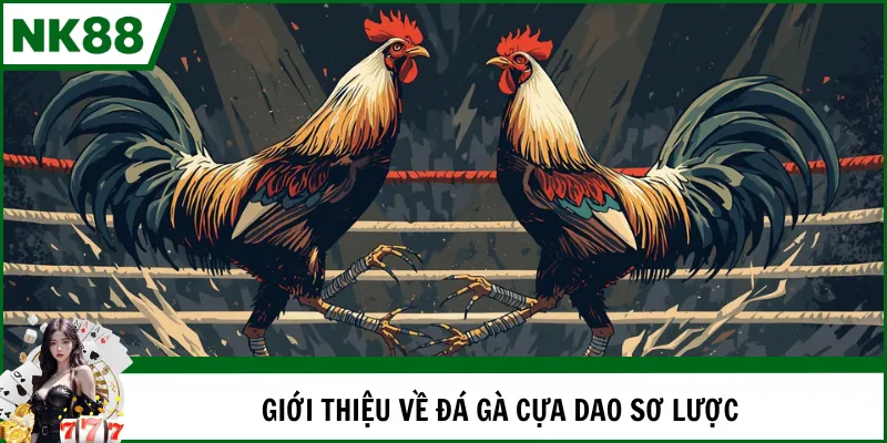 Giới thiệu về đá gà cựa dao sơ lược